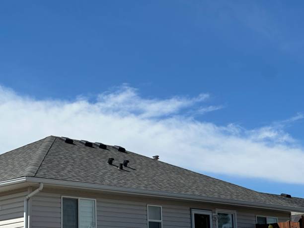 Best Emergency Roof Repair Services  in Prospect, KY